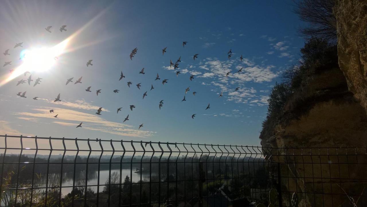 ロシュコルボン Le Gite De La Loireヴィラ エクステリア 写真